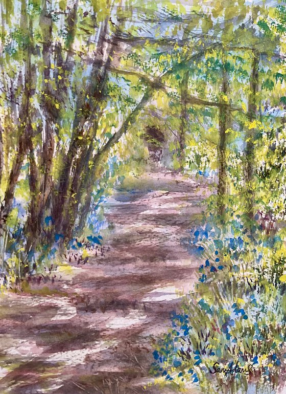 In the bluebell wood