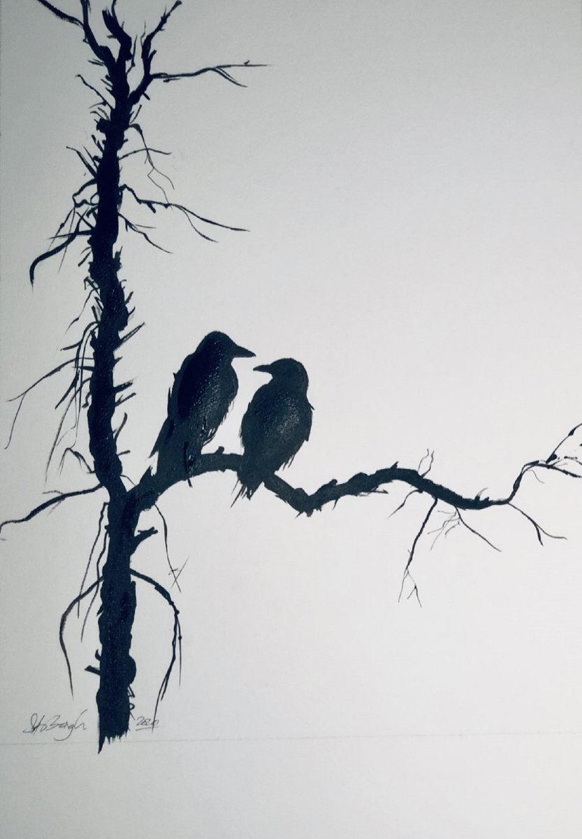 Impressionistic Animal Ink Drawing By Shabs Beigh, 20 X 28", The Raven Couple 2, Original Artwork