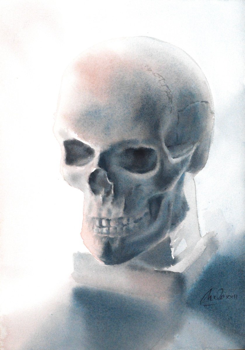 Gypsum Skull by Lida Duchnewitsch