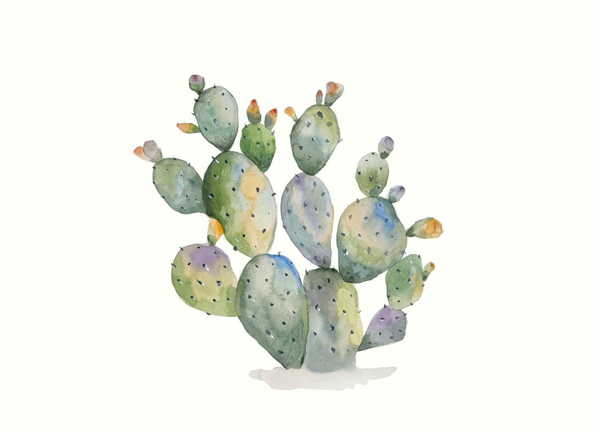 Watercolor Cactus 6 by Irina Anis