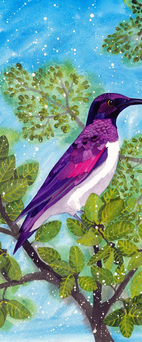 Amethyst Starling by Terri Smith