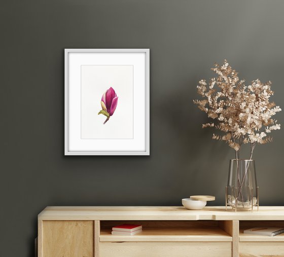 Magnolia blossom. A flower bud. Original watercolor artwork.