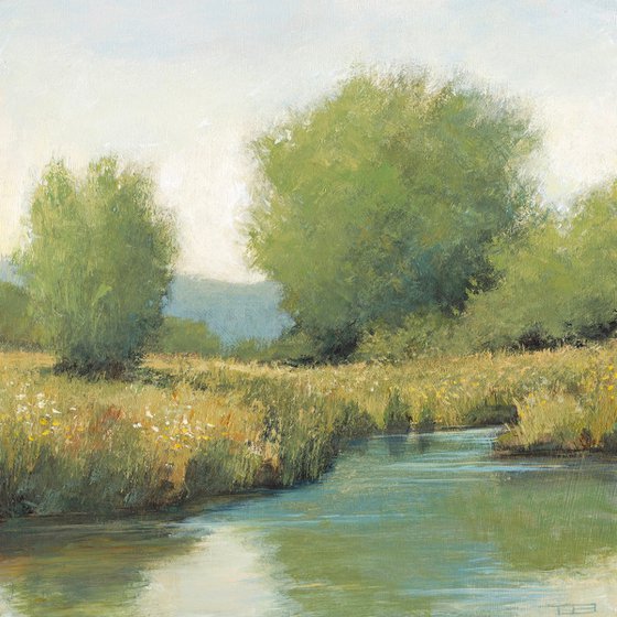 Pond And Trees 251204