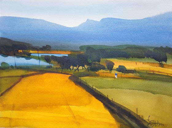 Indian yellow, summer light 2