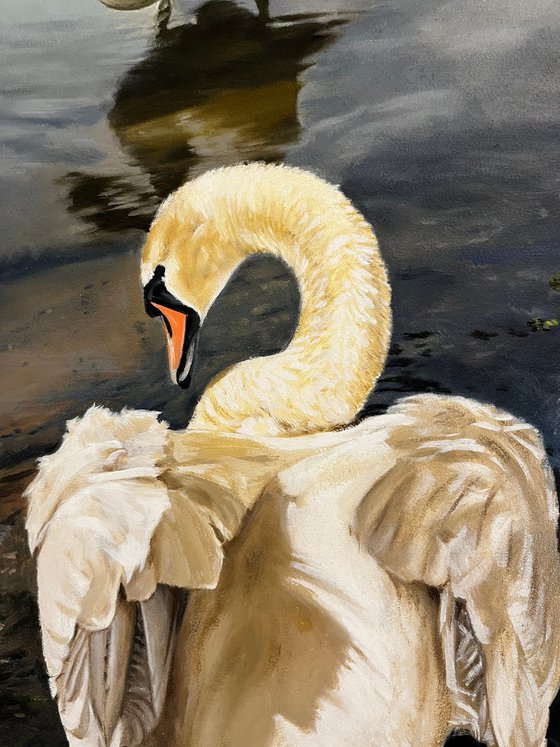 Swans at the Lake (50x40 cm)