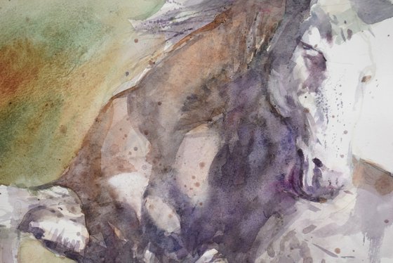 Horse in the run  5 (70x50)