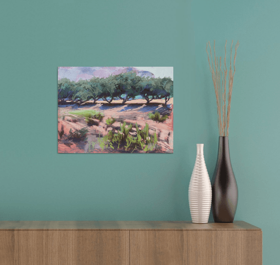 Olive trees