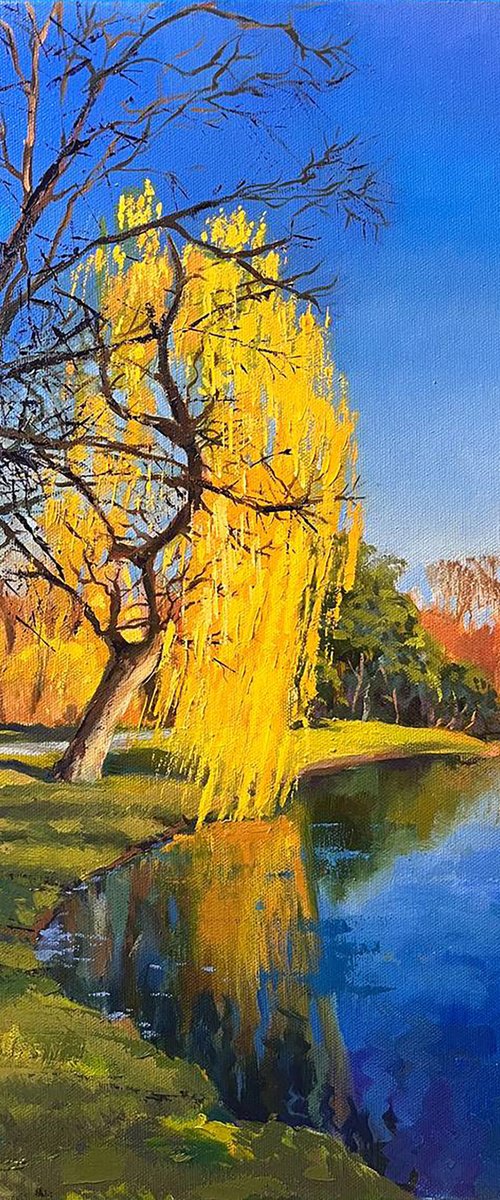 Early spring by Vitalii Sandula