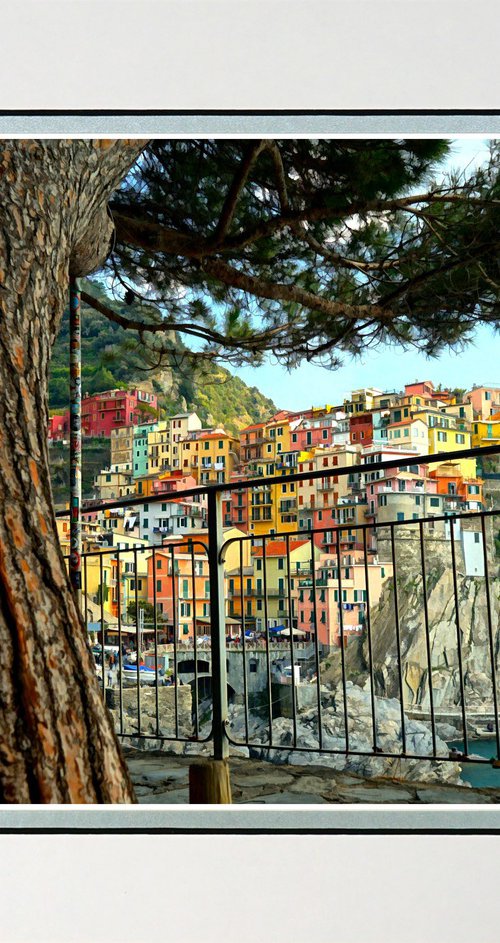 Manarola Cinque Terre Italy by Robin Clarke