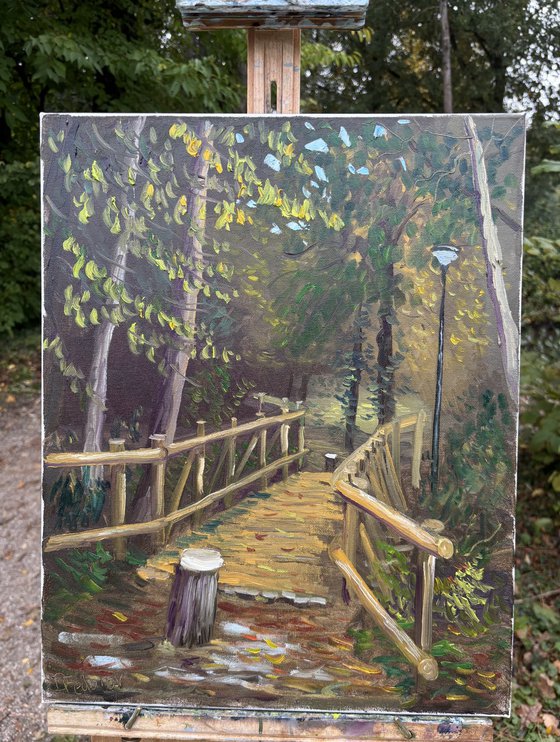 Autumn in Dutch forest