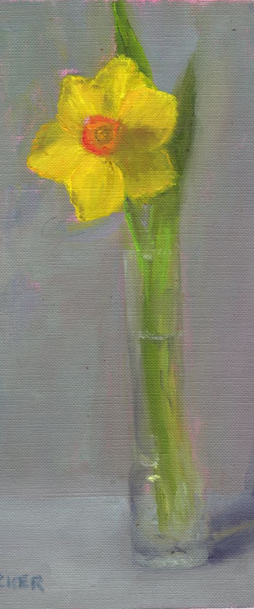 Daffodil in Glass Vase by Elizabeth B. Tucker