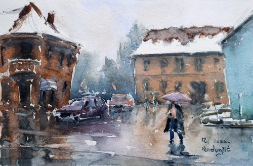 Тhe February rain by Zoran Radonjic