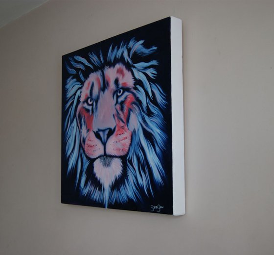 Intense Gaze 60cm x 60cm ( on canvas ) Free Shipping