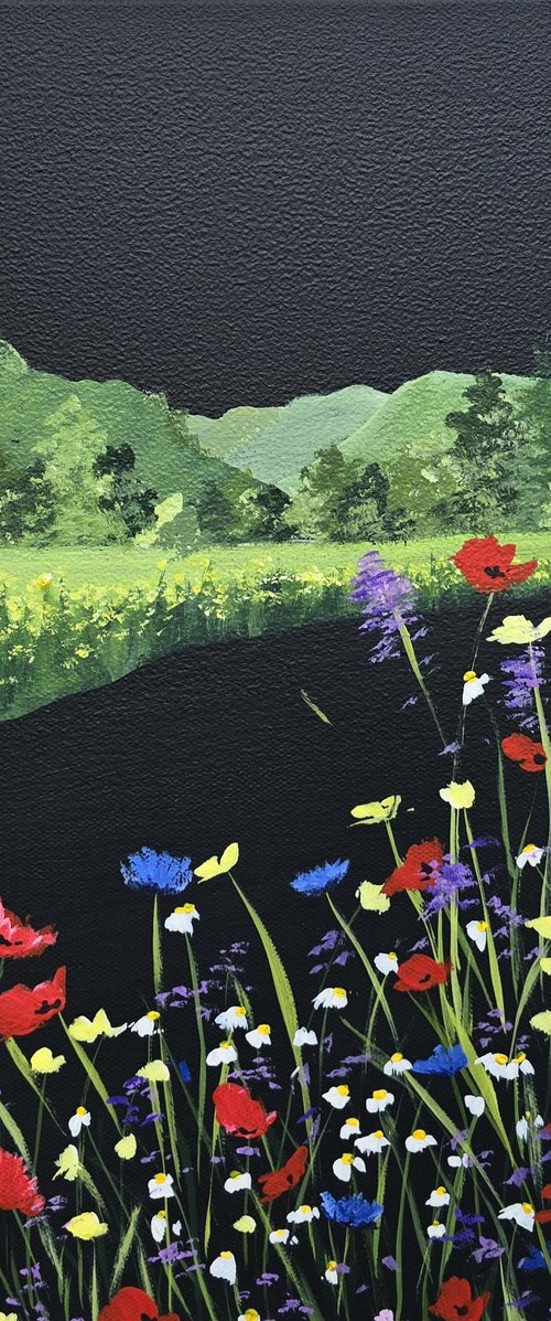 Poppies in Patterdale by Sam Martin