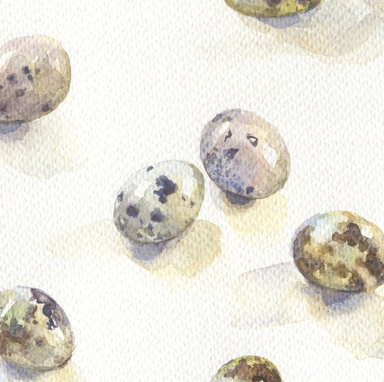 Quail eggs / Original square picture Kitchen watercolor Realistic still life