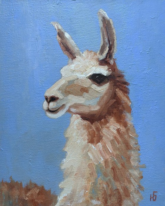 Llama Painting Alpaca Art