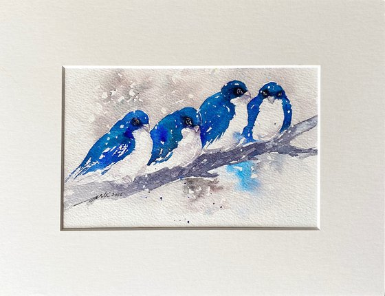 Four winter Birds