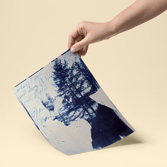 Cyanotype_04_A4_The forest