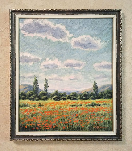 Poppy field