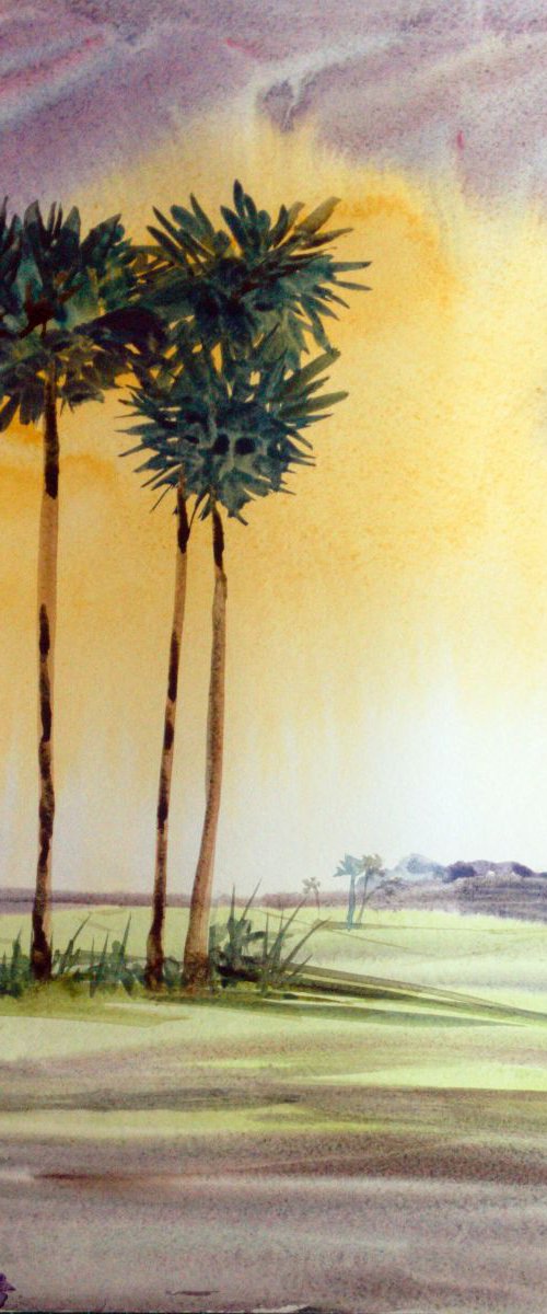 Sunset Palms trees-2 by Asha Shenoy