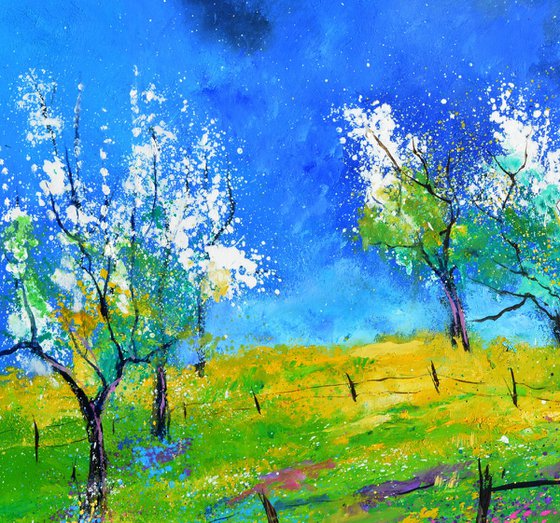 Orchard in spring