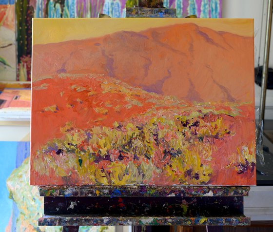 Evening in the Desert