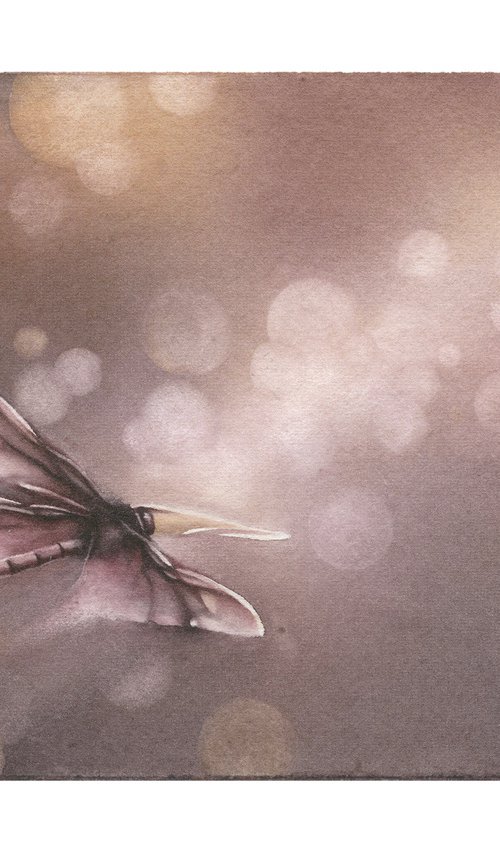 Glimpse XII - Sunset Dragonfly Watercolor Painting by ieva Janu