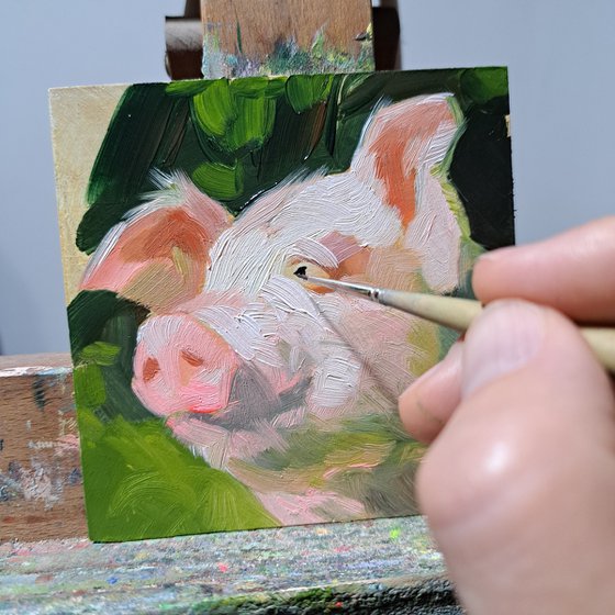 Pig