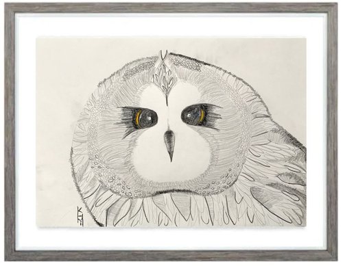 Owl Big Face / Bird Art / Animals & Birds / Animal Portrait / Owl Art / Bird Art / Black and White / Original Artwork / Gifts For Her / Home Decor Wall Art 11.7"x16.5" by Kumi Muttu