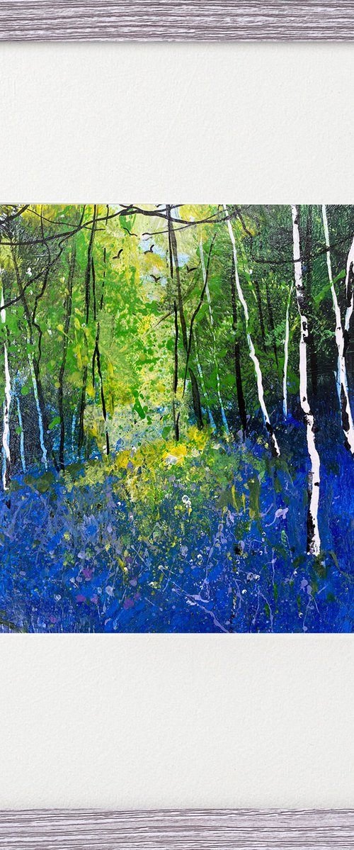 Bluebells & Silver Birches by Teresa Tanner