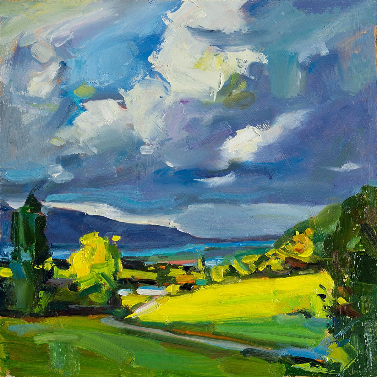 Impressionistic Landscape Oil Painting By Daria Zavadenko, 12 X 12, Before The Sky Broke, Original Artwork