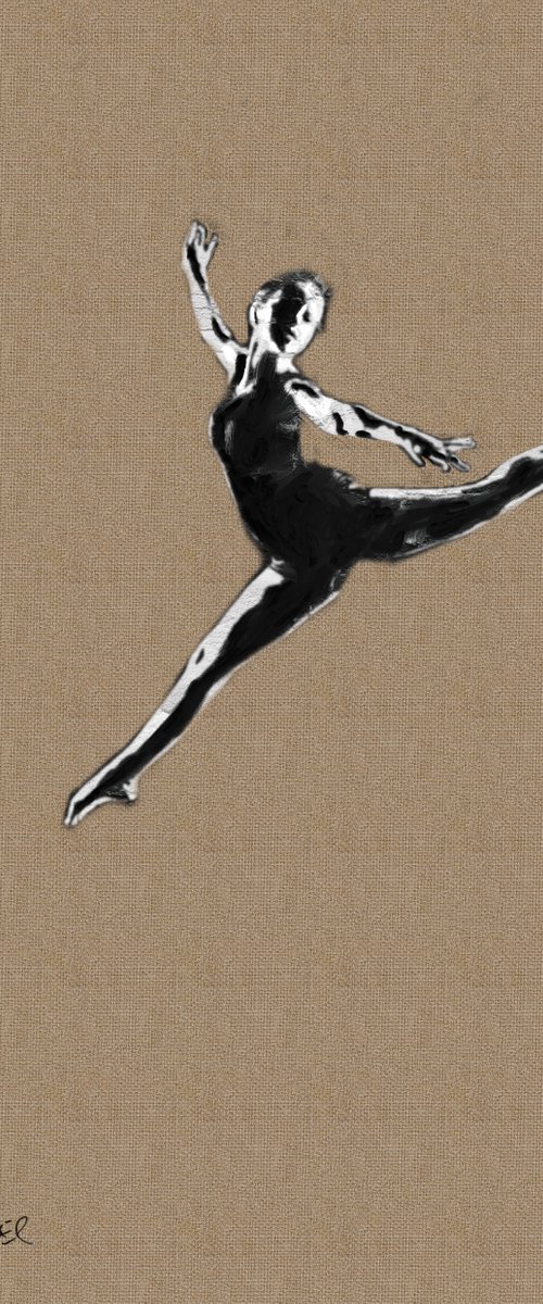 Ballet Jump by Ryan  Louder
