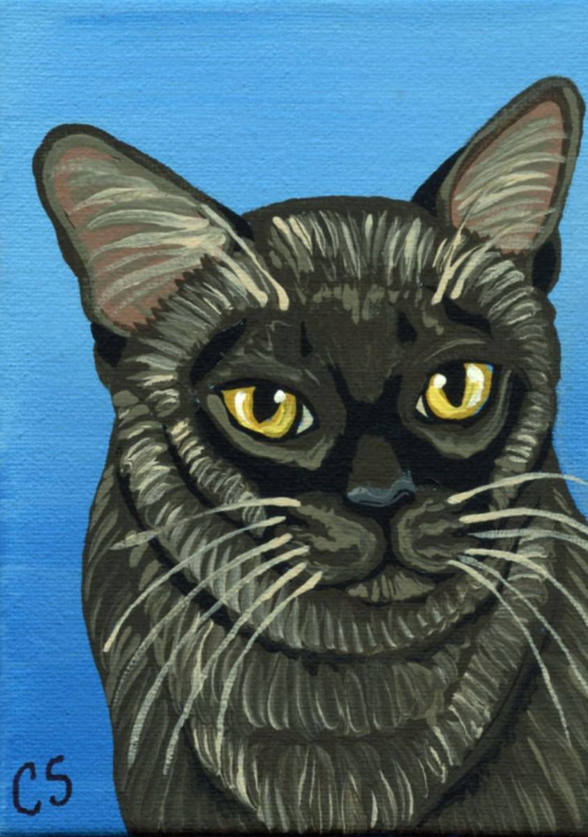 ACEO ATC Original Painting Burmese Pet Cat Art-Carla Smale by carla smale