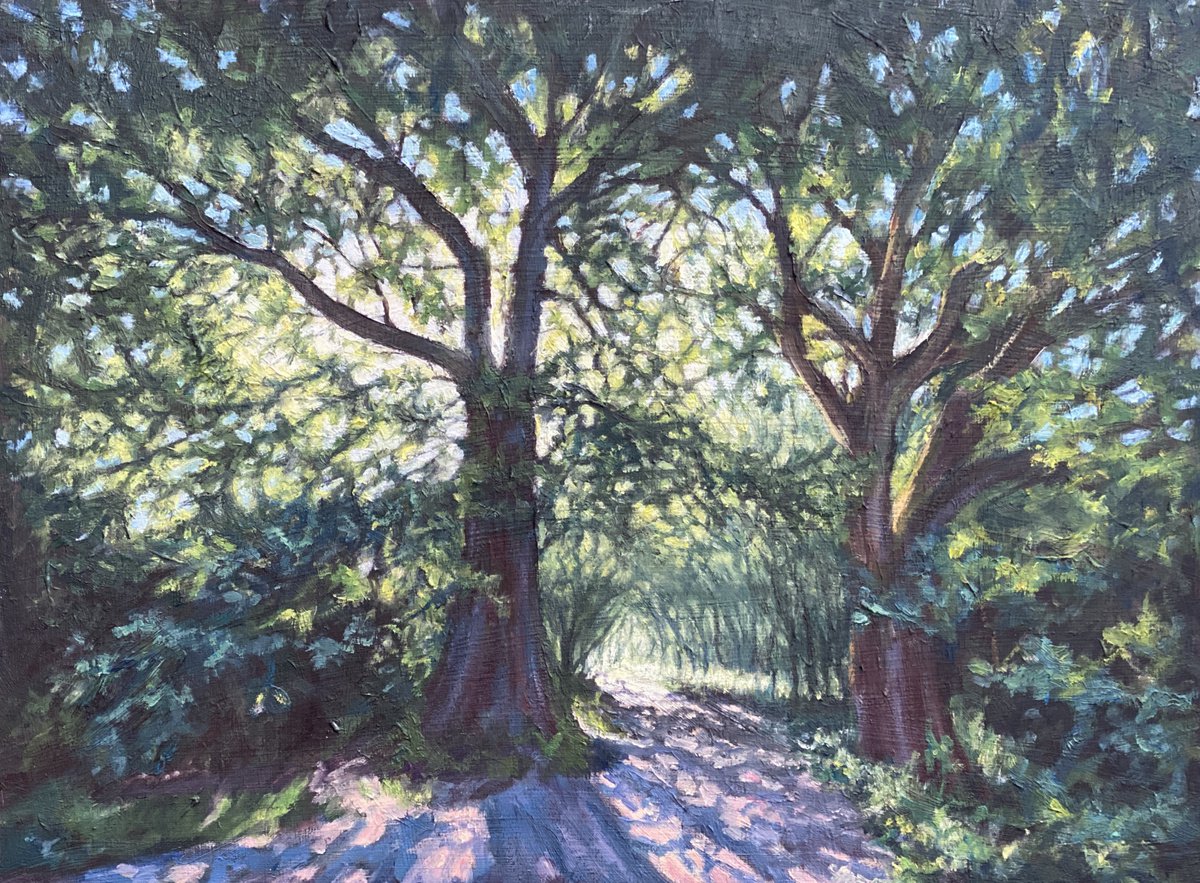 Two Oaks In Arrandene By Diana Sandetskaya, 12 X 9, Artwork For Sale On Artfinder