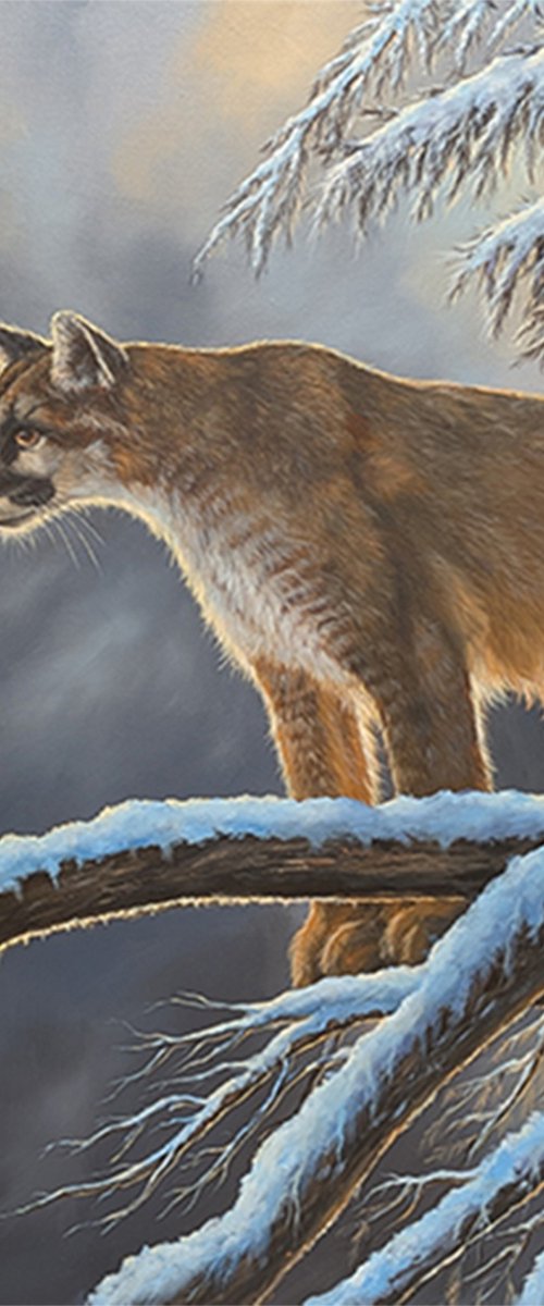 Winter Watch by michael Schutte