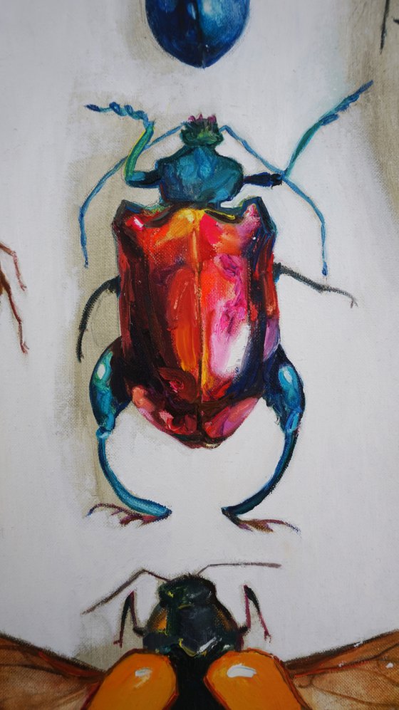 "Entomological insect collection №2" Painting by Anastasia Balabina Original oil painting