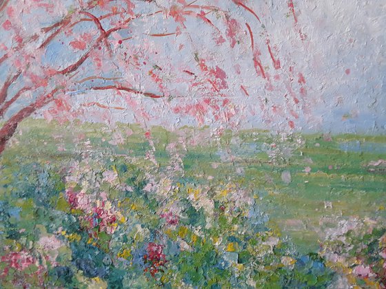 The Cherry Blossom Tree