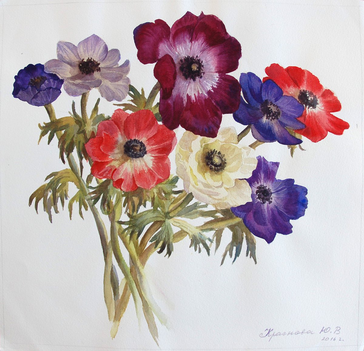 Photorealistic Botanical Watercolour By Yulia Krasnov, 14 X 14", Anemones, Original Artwork