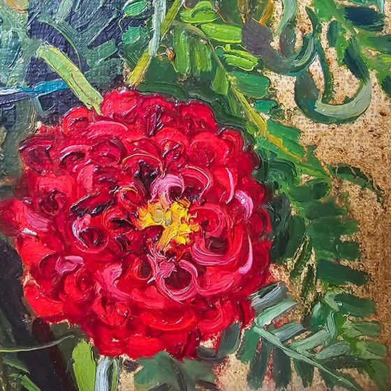 Dahlias