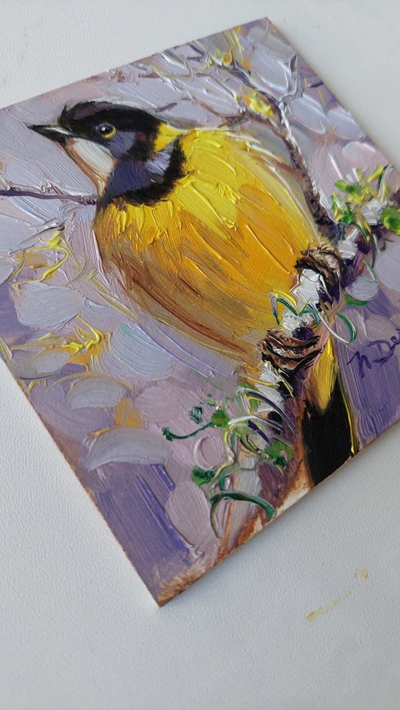 Australian golden whistler bird painting original 4x4, Framed oil painting yellow bird on branch, Mini painting of birds gift for bird lovers