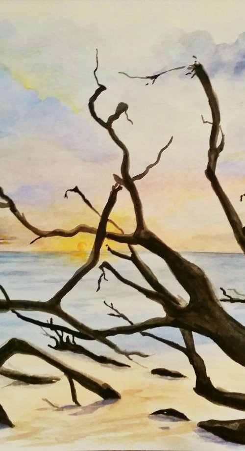 Little Talbot Island by Katrina Case