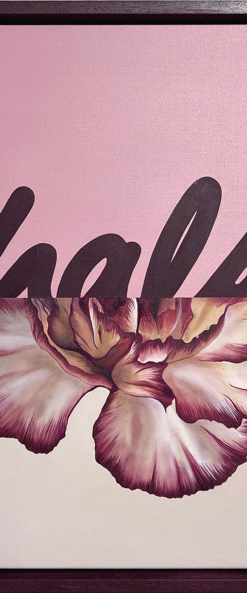 Half Still by Daisy Emerson