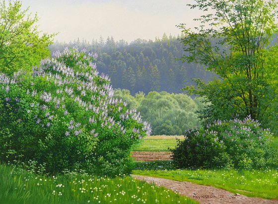 Blooming spring meadow