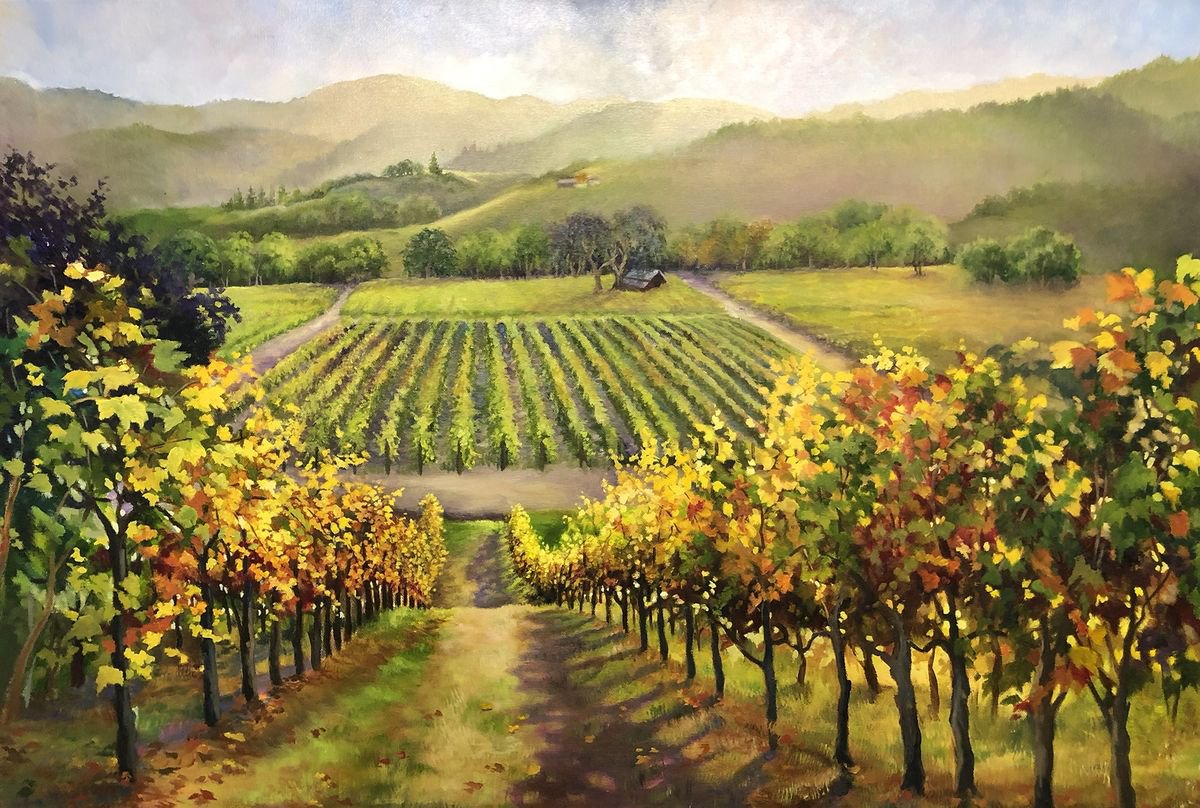 Sonoma Winery Golden Hour by Barbara Davies