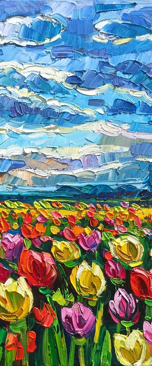 Tulips field by Vanya Georgieva