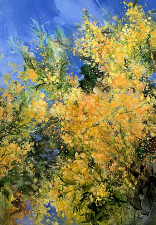 Mimosa flowers by Irina Laube