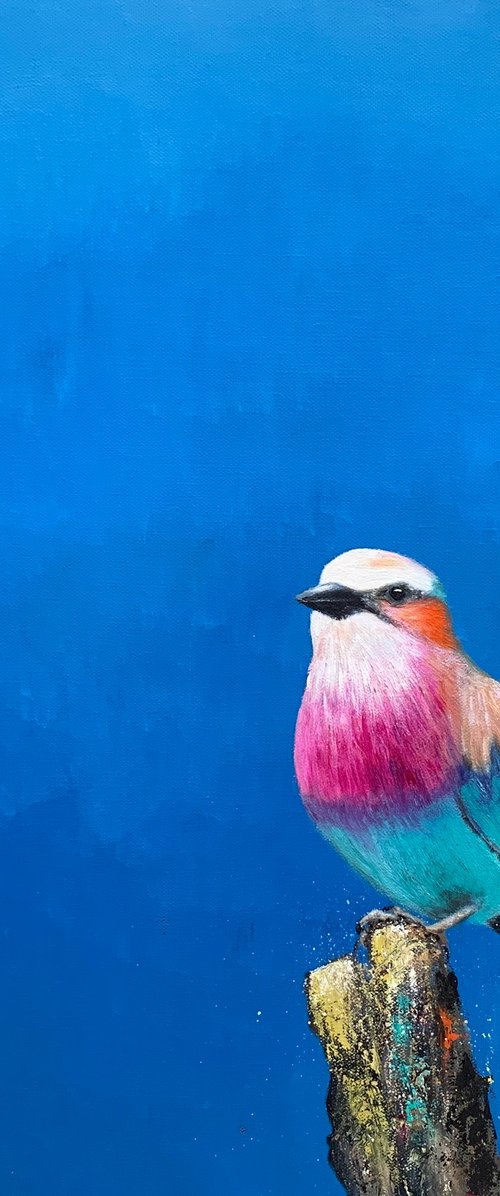 Lilac Breasted Roller by Laure Bury