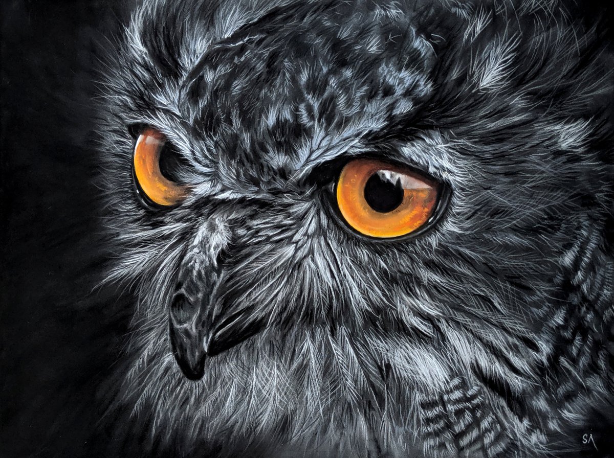EAGLE OWL Limited Edition A3 Print by Sean Afford