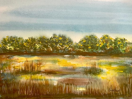Gorse, marshy pool, Studland