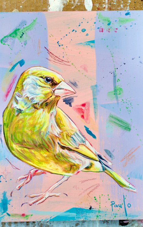 Greenfinch by Paul Ward